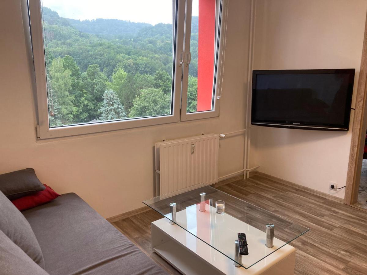 U Kosmonauta Apartment Decin Exterior photo